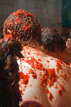 World's largest food fight, La Tomatina, tomato throwing festival, Bunol, Valencia province, Spain, Europe