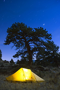 Tent illuminated under the night sky, Rocky Mountain National Park, Colorado, United States of America, North America