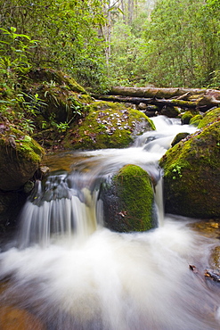 River in Parque Nacional Montana de Celaque, Gracias, Honduras, Central America