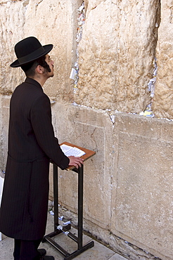 Praying at the Western (Wailing) Wall, Old Walled City, Jerusalem, Israel, Middle East