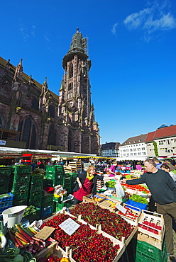 Saturday market, Freiburg Cathedral, Freiburg, Baden-Wurttemberg, Germany, Europe