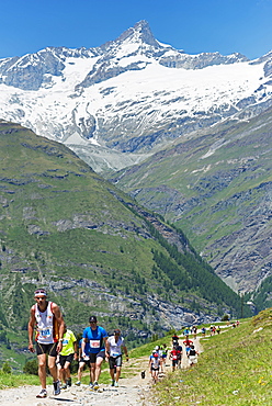 Runners in the Zermatt Marathon and the Matterhorn, Valais, Swiss Alps, Switzerland, Europe