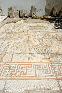 Floor mosaics, Madaba Museum, Madaba, Jordan, Middle East