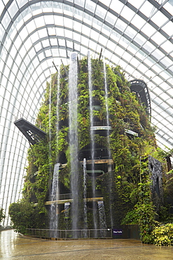 Gardens by the Bay, Cloud Forest, botanic garden, Singapore, Southeast Asia, Asia