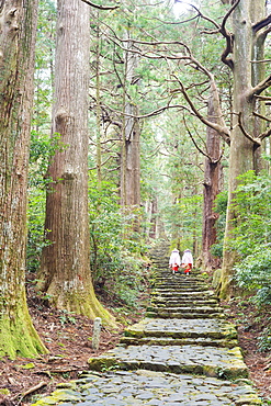 Pilgrims on Daimon-zaka Nachi Tokaido pilgrimage route, UNESCO World Heritage Site, Wakayama Prefecture, Honshu, Japan, Asia