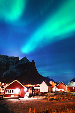 Aurora borealis (Northern lights), Reine, Moskenesoy, Lofoten Islands, Norway, Scandinavia, Europe