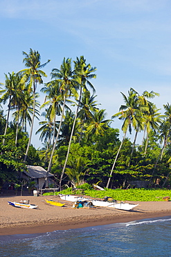 Apo Island, Cebu, The Visayas, Philippines, Southeast Asia, Asia