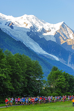 Chamonix trail running marathon, Mont Blanc 4810m, Chamonix, Rhone Alps, Haute Savoie, French Alps, France, Europe