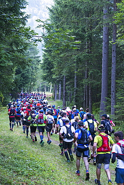 Chamonix trail running marathon, Chamonix, Rhone Alps, Haute Savoie, France, Europe