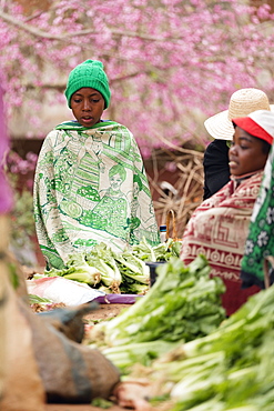 Vegetable sellers, Sendrisoa weekly market, near Ambalavao, central Madagascar, Africa