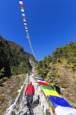 Porter crossing a suspension bridge decorated in Tibetan prayer flags, Sagarmatha National Park, UNESCO World Heritage Site, Khumbu Valley, Nepal, Asia