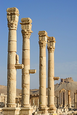 Archaeological ruins, and Qala'at ibn Maan castle in distance, Palmyra, UNESCO World Heritage Site, Syria, Middle East