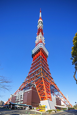 Tokyo Tower, Roppongi, Tokyo, Japan, Asia