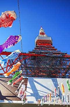 Koi nobori kites, Tokyo Tower, Roppongi, Tokyo, Japan, Asia