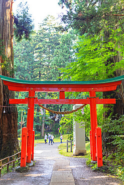 Torii gate, Takkoku no Iwaya Bishaman do temple, UNESCO World Heritage Site, Hiraizumi, Iwate Prefecture, Honshu, Japan, Asia