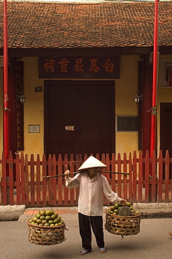 Fruit seller, lady wearing conical hat, Hanoi, Northern Vietnam, Southeast Asia, Asia