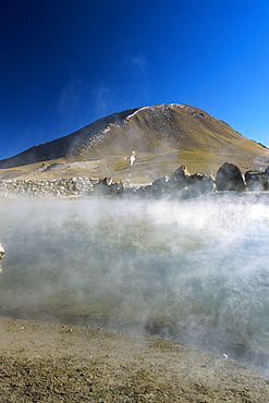 Geysers at Sol de Manana, Salar de Uyuni, Bolivia, South America