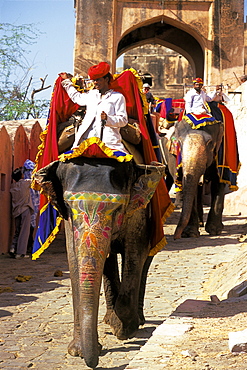 Jaipur  Amber  Palace, India