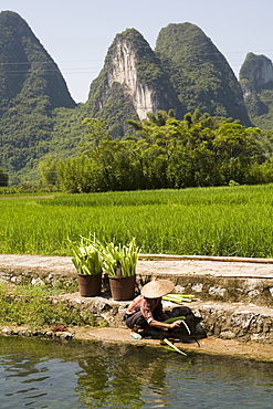 A local woman washing vegetables on Li River (Lijiang), Big banyan tree park, Yangshuo, Guilin, China