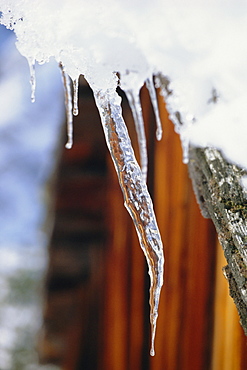 Icicle, St. Anton, Tirol, Austrian Alps, Austria, Europe