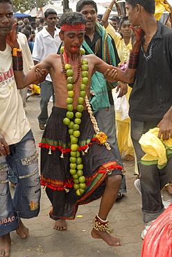 Pilgrim in trance during the Hindu Thaipusam Festival supported by friends during walk from Sri Subramaniyar Swami Temple up to Batu Caves, Selangor, Malaysia, Southeast Asia, Asia