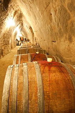 Wooden wine barels in sandstone wine cellar, Novy Saldorf, Brnensko, Czech Republic, Europe