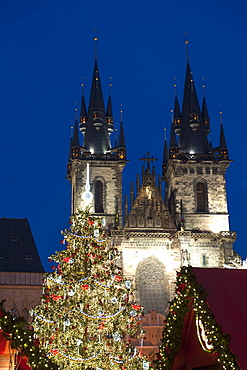 Christmas Tree and Tyn Gothic Church, Old Town Square, UNESCO World Heritage Site, Prague, Czech Republic, Europe 