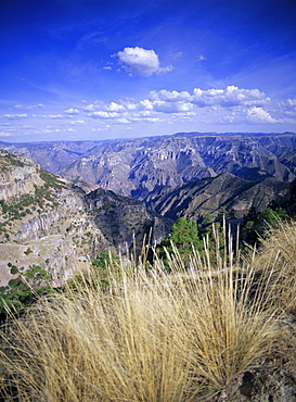 Copper Canyon, Sierra Tarahumara, Sierra Madre, Chihuahua, Mexico, Central America