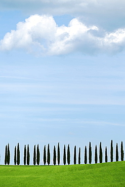 Val D'Orcia, UNESCO World Heritage Site, Tuscany, Italy, Europe