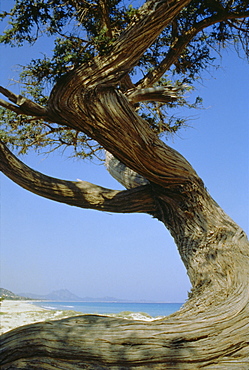 Costa Rey, Sardinia, Italy, Mediterranean, Europe