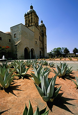 Oaxaca, Mexico, North America