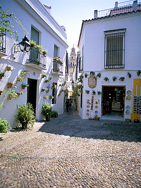 Cordoba, Andalucia (Andalusia), Spain, Europe