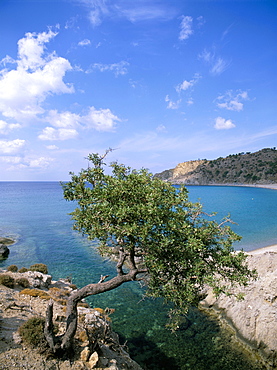 Samothraki (Samothrace), Aegean Islands, Greek Islands, Greece, Europe