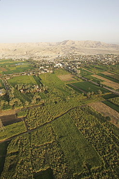 Fields along the Nile, near Luxor, Egypt, North Africa, Africa