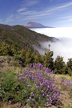 Mount Teide (Pico de Teide), Tenerife, Canary Islands, Spain