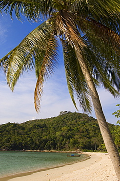 Lanah bay, Phi Phi Don Island, Thailand, Southeast Asia, Asia