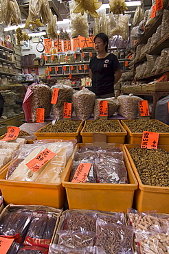 Traditional Chinese medicine, Sheung Wan district, Hong Kong, China, Asia