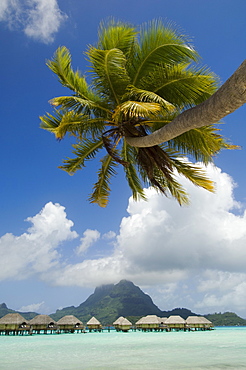 Pearl Beach Resort, Bora-Bora, Leeward group, Society Islands, French Polynesia, Pacific Islands, Pacific