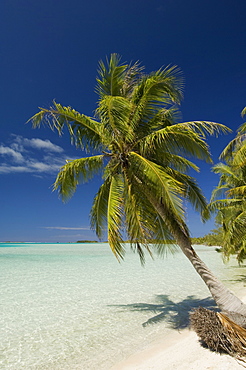 Fakarawa, Tuamotu Archipelago, French Polynesia, Pacific Islands, Pacific