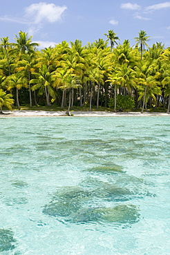 Bora-Bora, Leeward group, Society Islands, French Polynesia, Pacific Islands, Pacific