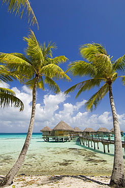 Pearl Beach Resort, Tikehau, Tuamotu Archipelago, French Polynesia, Pacific Islands, Pacific