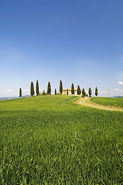 Countryside near Pienza, Val d'Orcia, Siena province, Tuscany, Italy, Europe