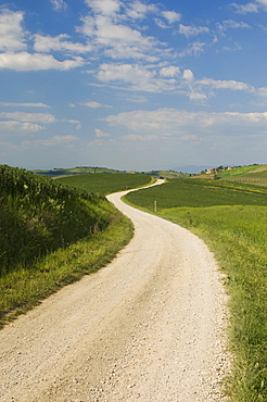 Countryside near Montepulciano, Val d'Orcia, Siena province, Tuscany, Italy, Europe