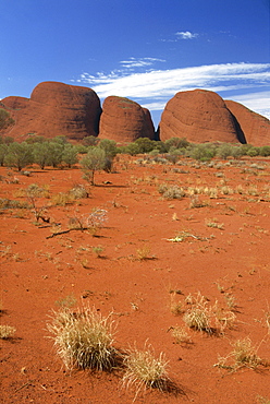 The Olgas, Uluru-Kata Tjuta National Park, UNESCO World Heritage Site, Northern Territory, Australia, Pacific