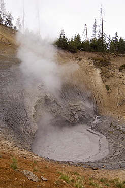 Mud Volcano Area, Yellowstone National Park, UNESCO World Heritage Site, Wyoming, United States of America, North America