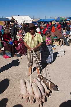 Animal market at San Francisco El Alto, Guatemala, Central America