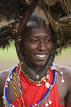 Masai man, Masai Mara, Kenya, East Africa, Africa