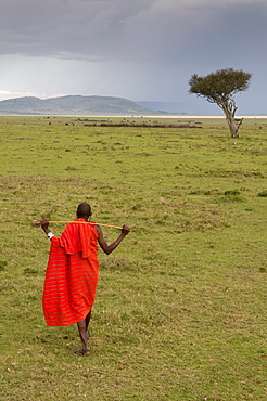 Masai man, Masai Mara, Kenya, East Africa, Africa