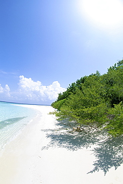 Mendu Island, Baa Atoll, Maldives, Indian Ocean, Asia