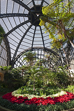 Botanical Building, Balboa Park, San Diego, California, United States of America, North America